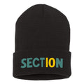 Black City Beanie