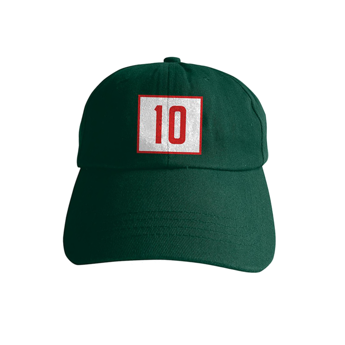Section 10 Dad Hat