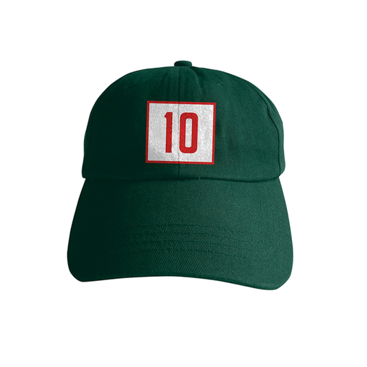 Section 10 Dad Hat