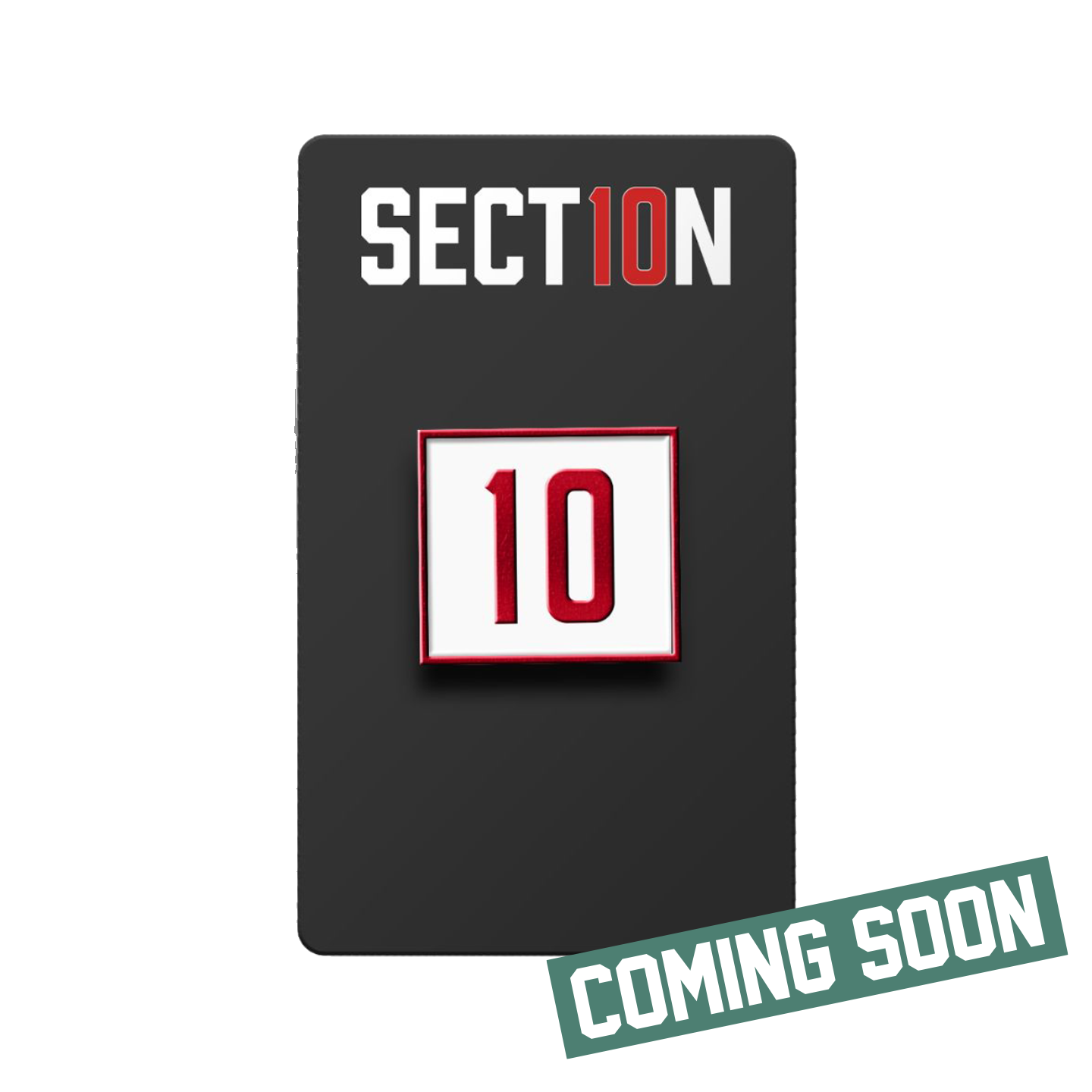 Section 10 Enamel Pin