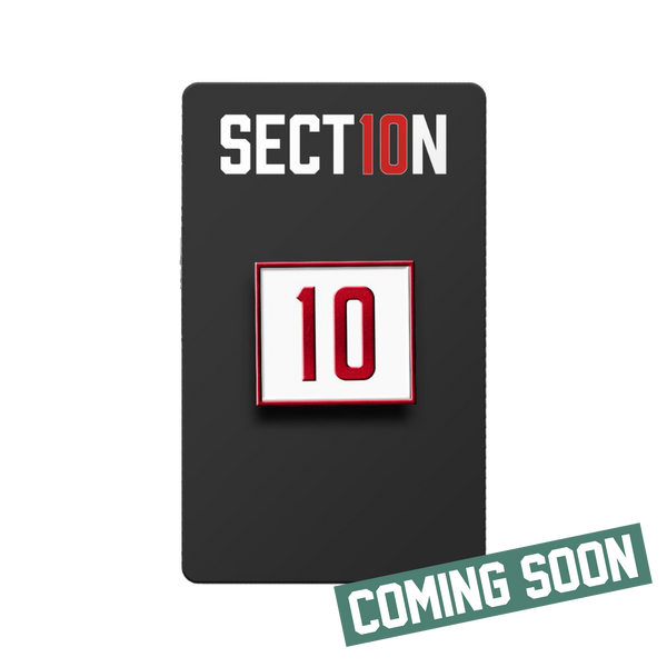 Section 10 Enamel Pin