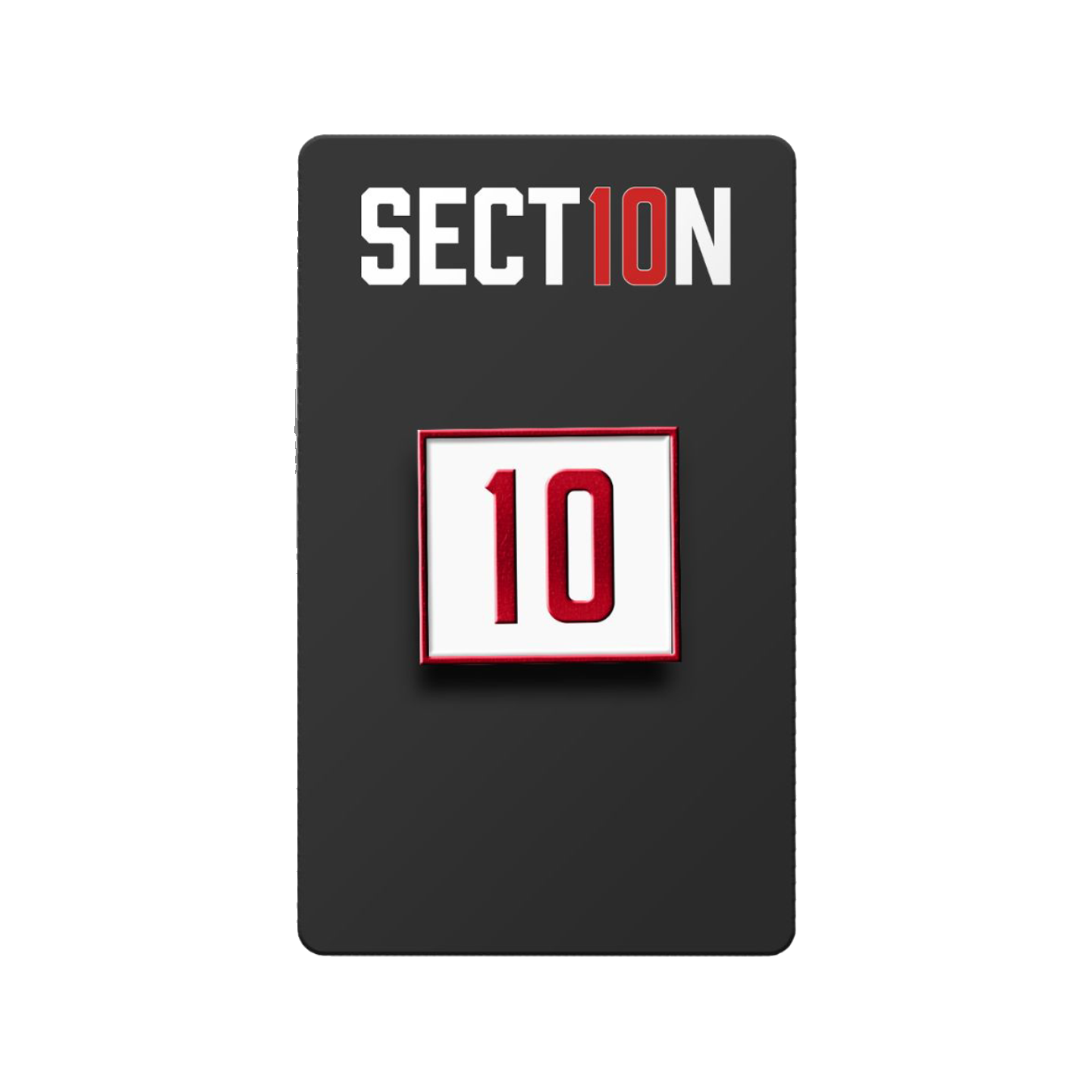Section 10 Enamel Pin