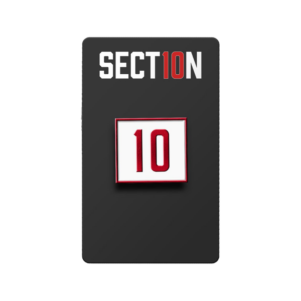 Section 10 Enamel Pin