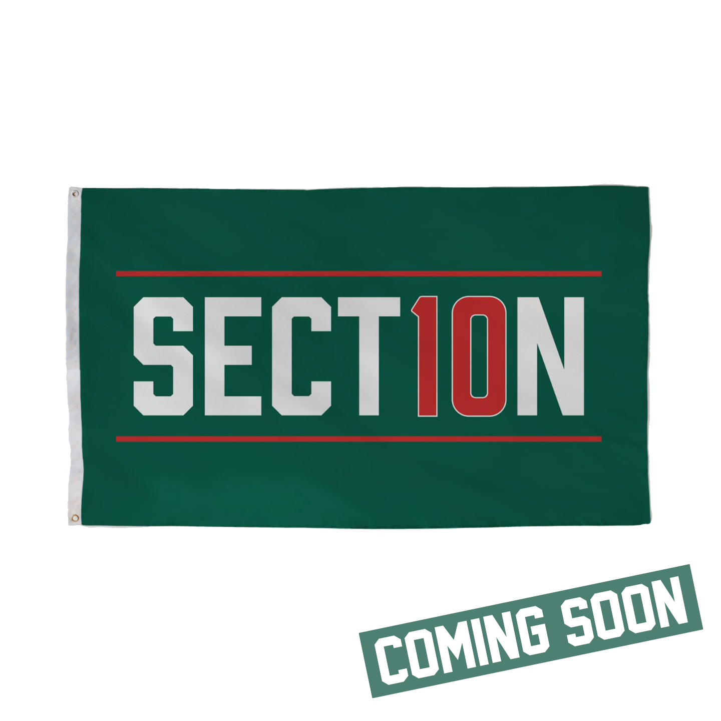 Section 10 Flag
