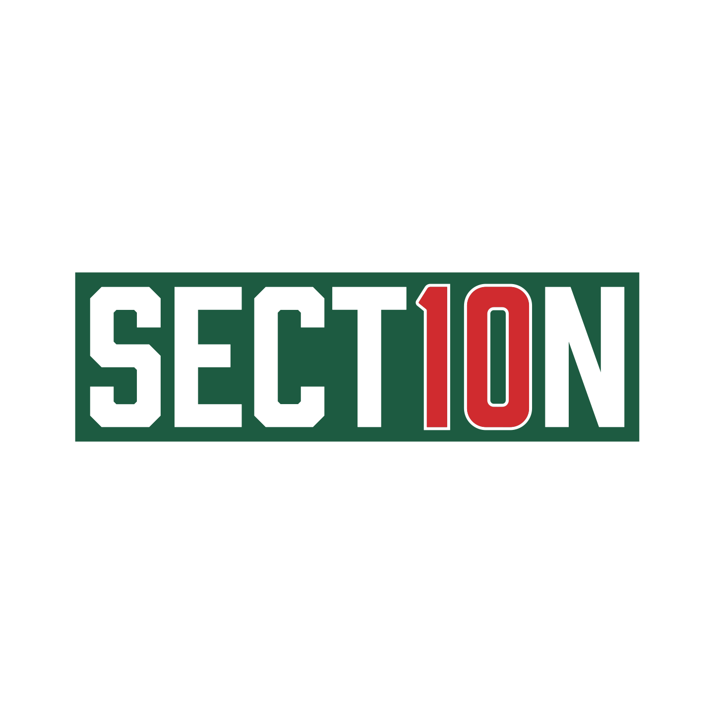 Section 10 Bumper Sticker