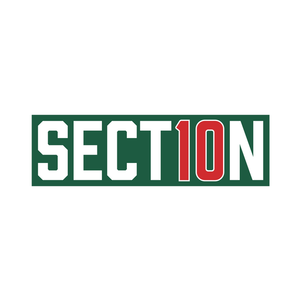 Section 10 Bumper Sticker